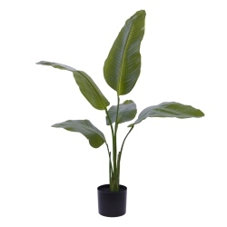 Pianta artificiale Strelitzia Nicolai 90cm