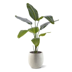 Pianta artificiale di Strelitzia Nicolai 120cm
