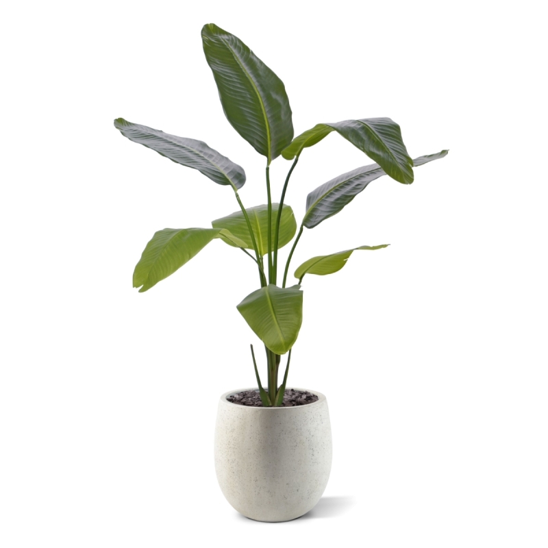 Pianta artificiale di Strelitzia Nicolai 120cm