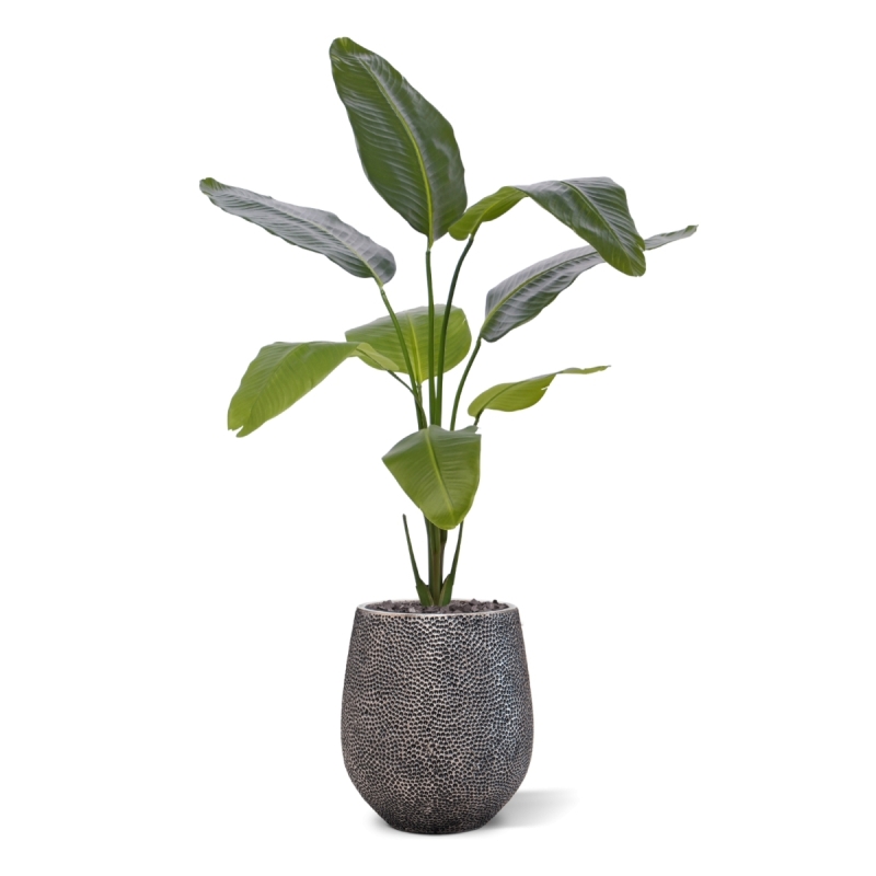 Pianta artificiale di Strelitzia Nicolai 120cm