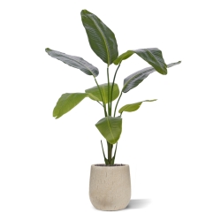Pianta artificiale di Strelitzia Nicolai 120cm