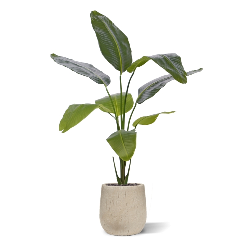 Pianta artificiale di Strelitzia Nicolai 120cm