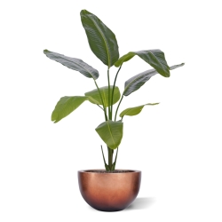 Pianta artificiale di Strelitzia Nicolai 120cm