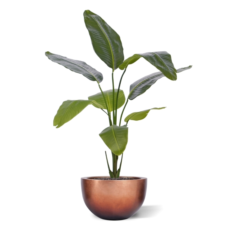 Pianta artificiale di Strelitzia Nicolai 120cm