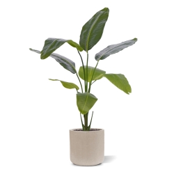 Pianta artificiale di Strelitzia Nicolai 120cm
