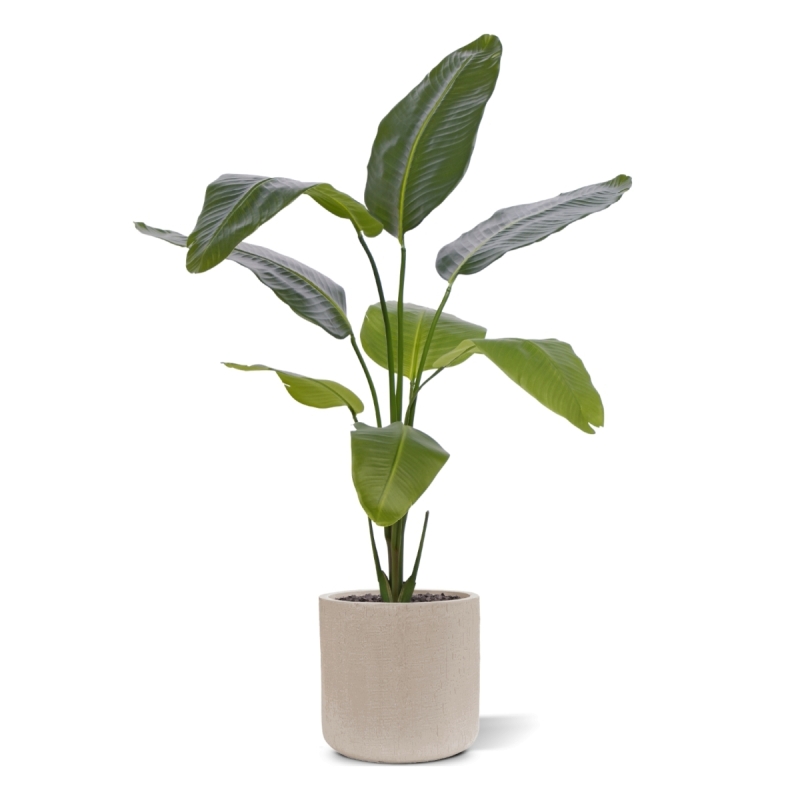 Pianta artificiale di Strelitzia Nicolai 120cm