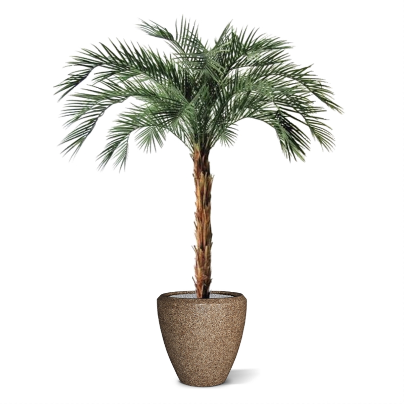 Palma artificiale Phoenix OD deluxe 225 cm