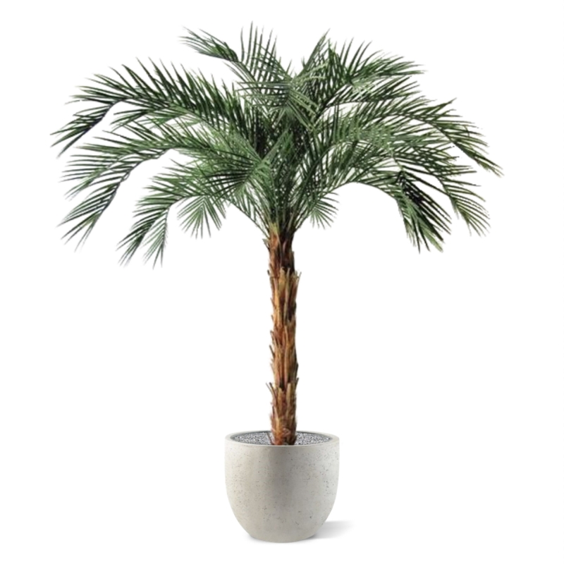 Palma artificiale Phoenix OD deluxe 225 cm