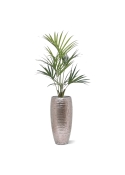 Kentia artificiale Palmtree Deluxe 135 cm