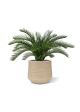 Palma artificiale Cycas deluxe 60 cm - resistente ai raggi UV