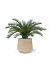 Palma artificiale Cycas deluxe 60 cm - resistente ai raggi UV