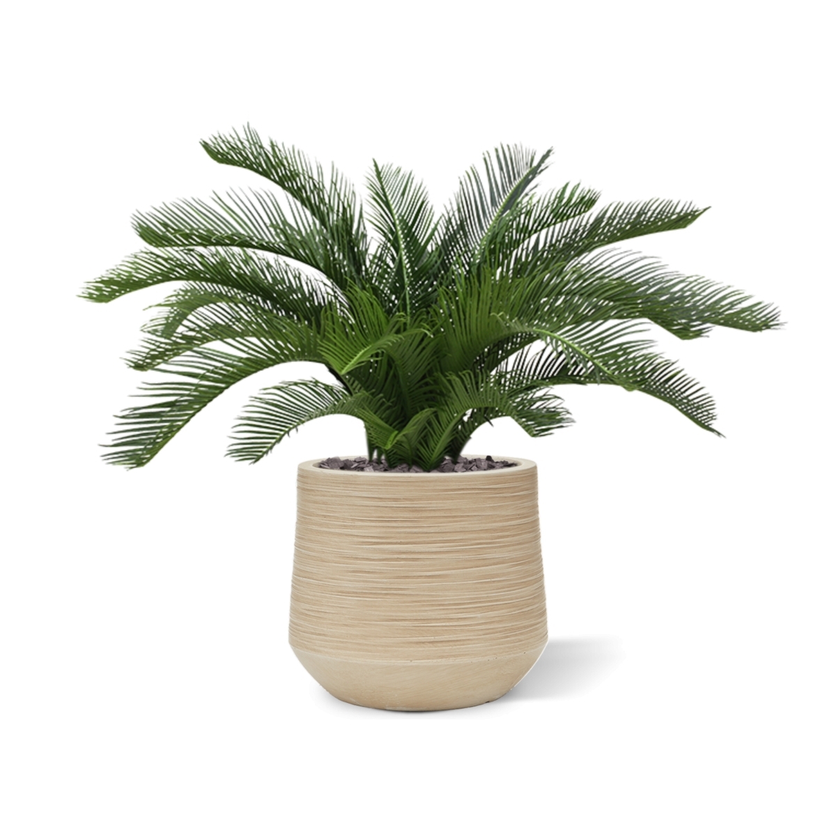 Palma artificiale Cycas deluxe 60 cm - resistente ai raggi UV