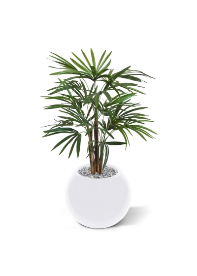 Palma artificiale Raphis 75 cm