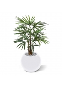 Palma artificiale Raphis 75 cm