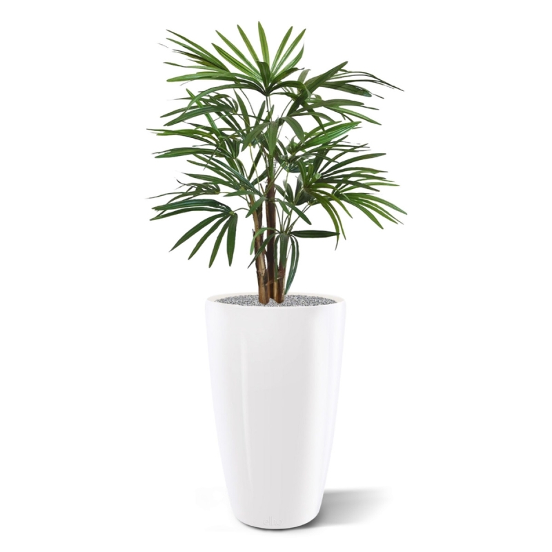 Palma artificiale Raphis 75 cm