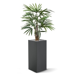 Palma artificiale Raphis 75 cm