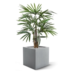 Palma artificiale Raphis 75 cm