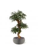 Shirakashi Bonsai x3 albero artificiale su base 80cm