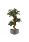 Shirakashi Bonsai x3 albero artificiale su base 80cm