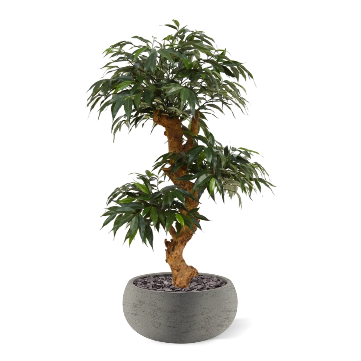 Shirakashi Bonsai x3 albero artificiale su base 80cm