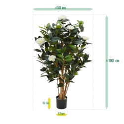 Camelia Japonica Deluxe 100 cm bianco