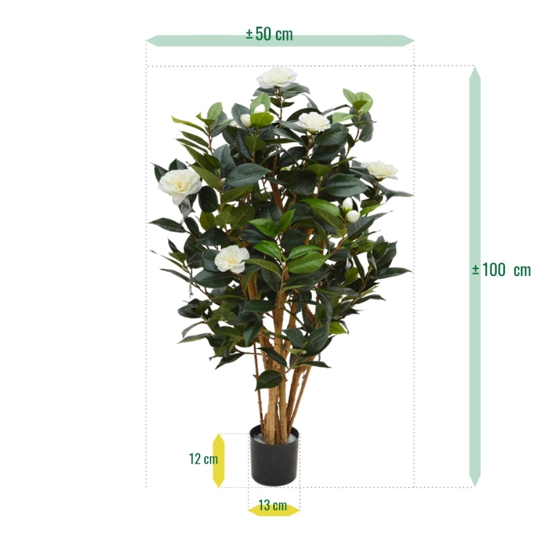 Camelia Japonica Deluxe 100 cm bianco