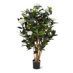 Camelia Japonica Deluxe 100 cm bianco