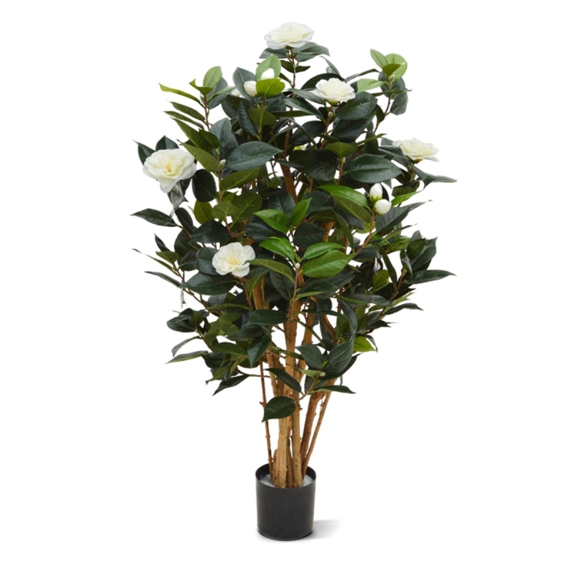 Camelia Japonica Deluxe 100 cm bianco