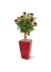 Rosa artificiale su stelo 75 cm - rosso