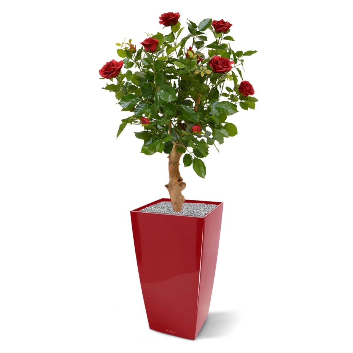 Rosa artificiale su stelo 75 cm - rosso