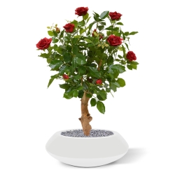 Rosa artificiale su stelo 75 cm - rosso