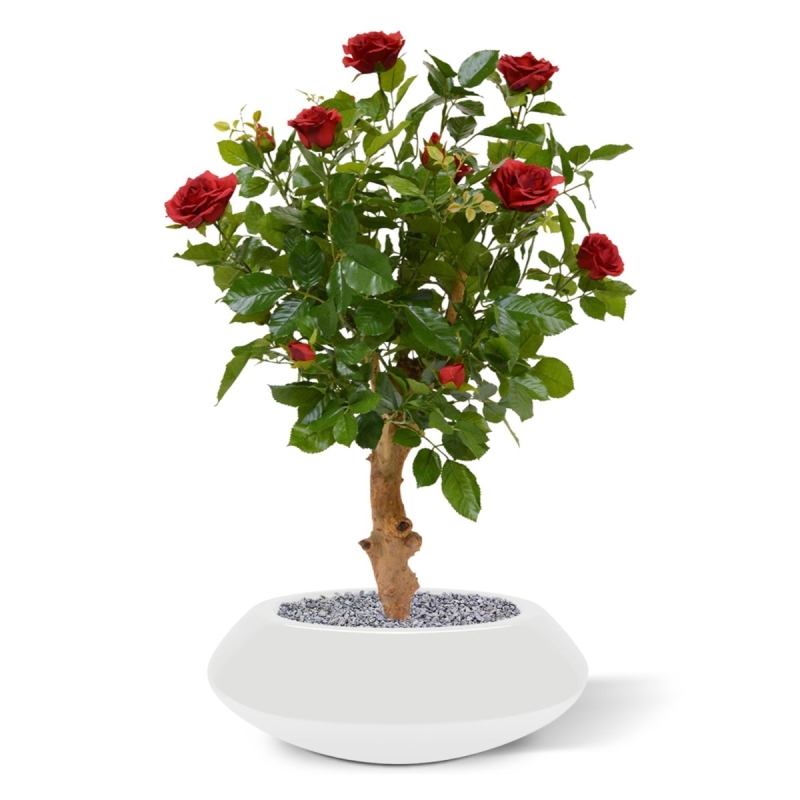 Rosa artificiale su stelo 75 cm - rosso