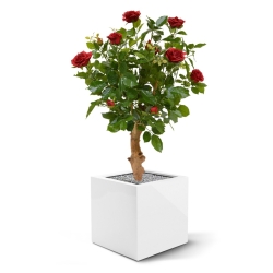 Rosa artificiale su stelo 75 cm - rosso