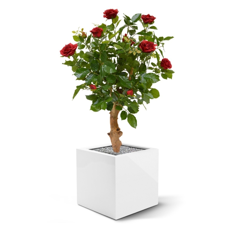 Rosa artificiale su stelo 75 cm - rosso