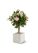 Rosa artificiale su stelo 75 cm - rosa