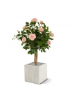 Rosa artificiale su stelo 75 cm - rosa