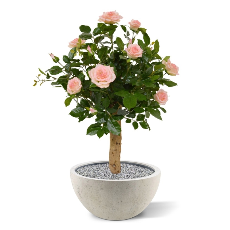 Rosa artificiale su stelo 75 cm - rosa