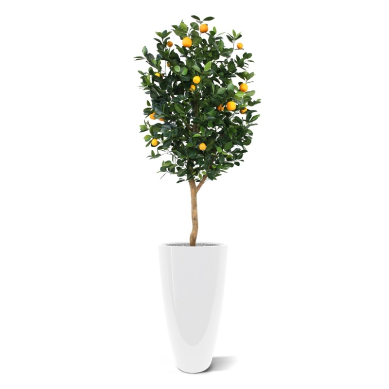 Albero arancione Deluxe 150 cm