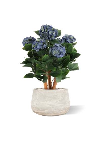 Ortensia Artificiale UV Deluxe 65cm Blu