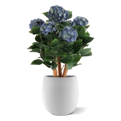 Ortensia Artificiale UV Deluxe 65cm Blu