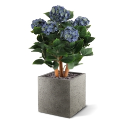 Ortensia Artificiale UV Deluxe 65cm Blu