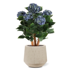 Ortensia Artificiale UV Deluxe 65cm Blu