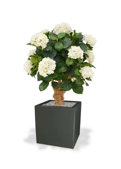 Ortensia Deluxe su tronco 90 cm crema