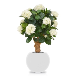 Ortensia Deluxe su tronco 90 cm crema