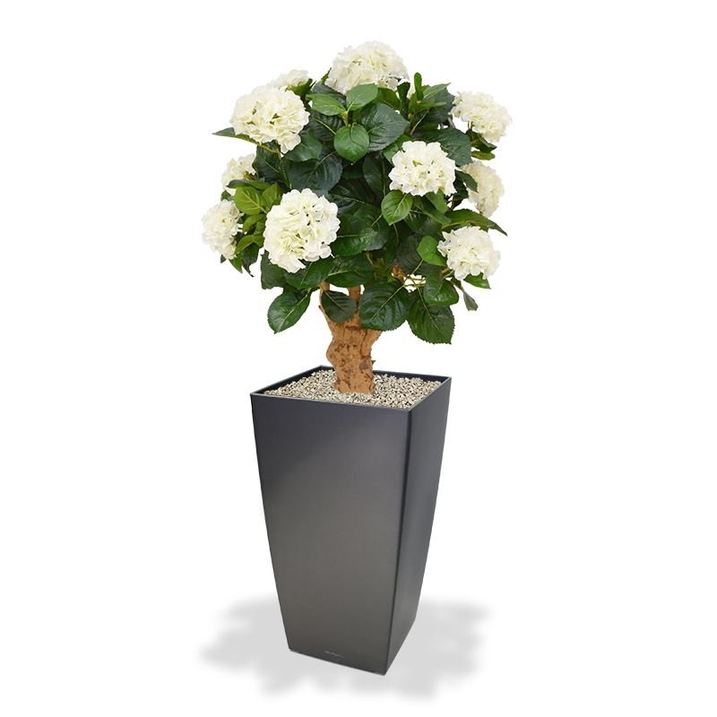 Ortensia Deluxe su tronco 90 cm crema