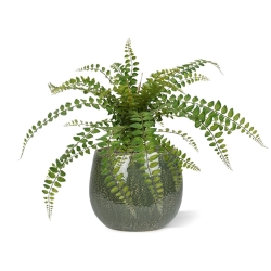 Pianta artificiale di felce Rotundifolia 55 cm