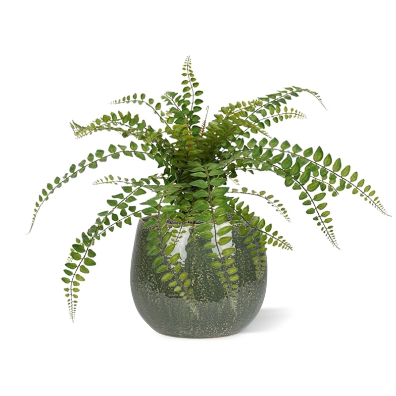 Pianta artificiale di felce Rotundifolia 55 cm
