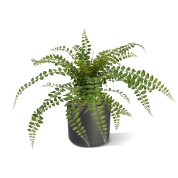 Pianta artificiale di felce Rotundifolia 55 cm
