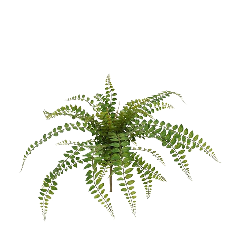 Pianta artificiale di felce Rotundifolia 55 cm