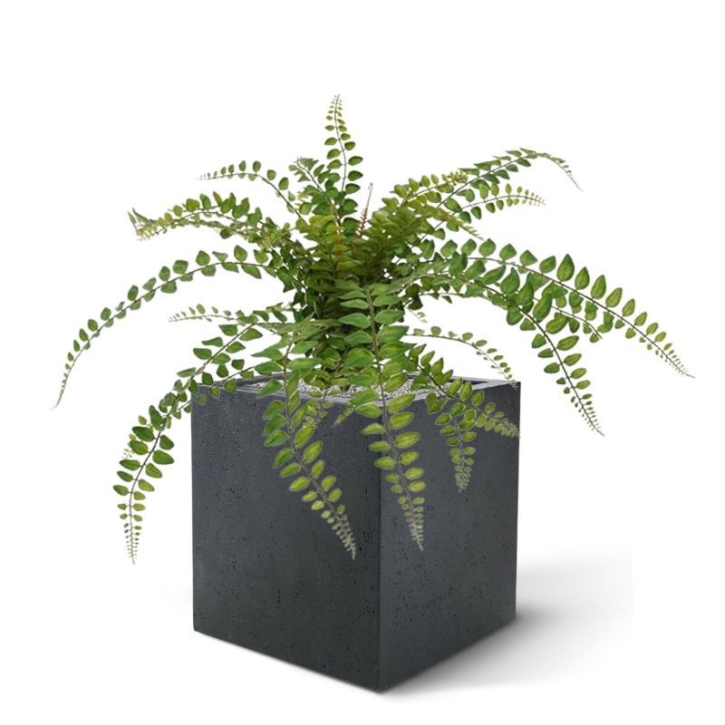 Pianta artificiale di felce Rotundifolia 55 cm